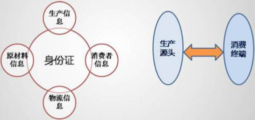 构建全链条溯源体系 以信息咨询赋能产品真实与安全保障